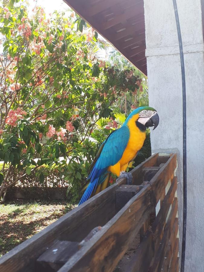 Pousada Recanto Dos Passaros Balsas Esterno foto