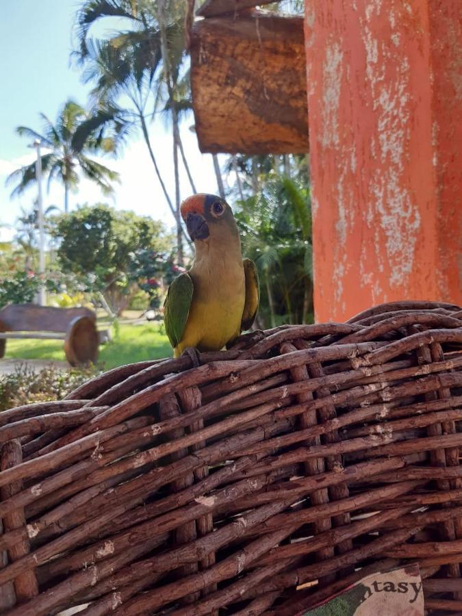 Pousada Recanto Dos Passaros Balsas Esterno foto
