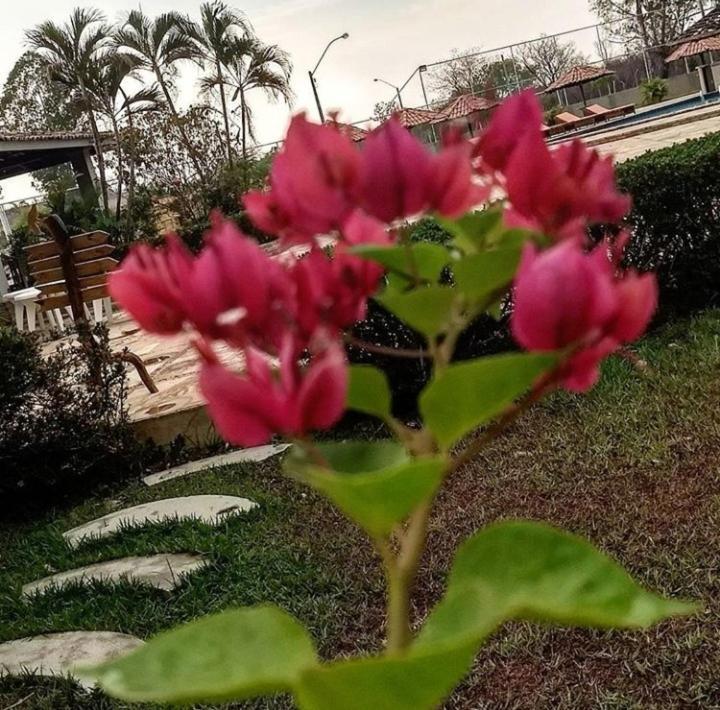 Pousada Recanto Dos Passaros Balsas Esterno foto