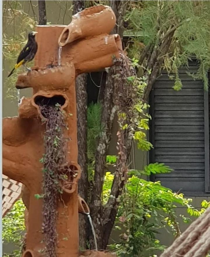 Pousada Recanto Dos Passaros Balsas Esterno foto